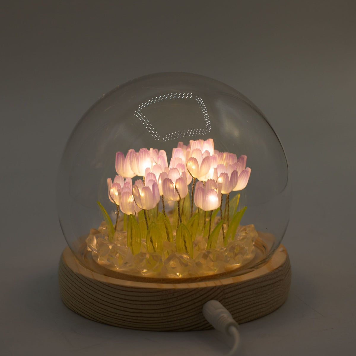 Lichtdekoration unter Glas – Tulpen · USB