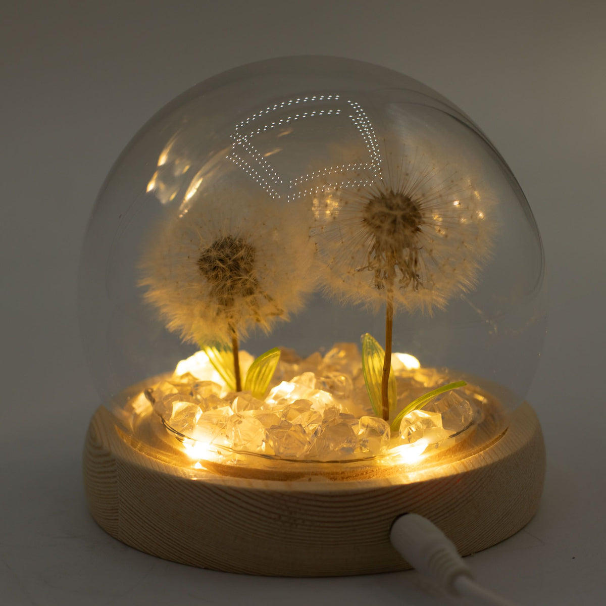 Lichtdekoration unter Glas – Zwei Löwenzahnblüten · USB