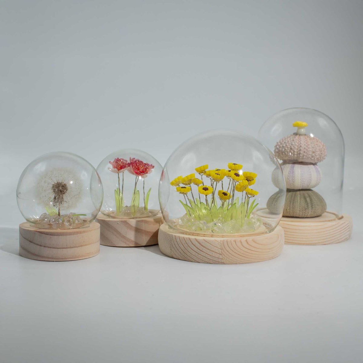 Lichtdekoration unter Glas – Rosa Rosen · USB