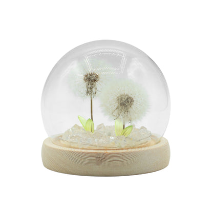 Lichtdekoration unter Glas – Zwei Löwenzahnblüten · USB