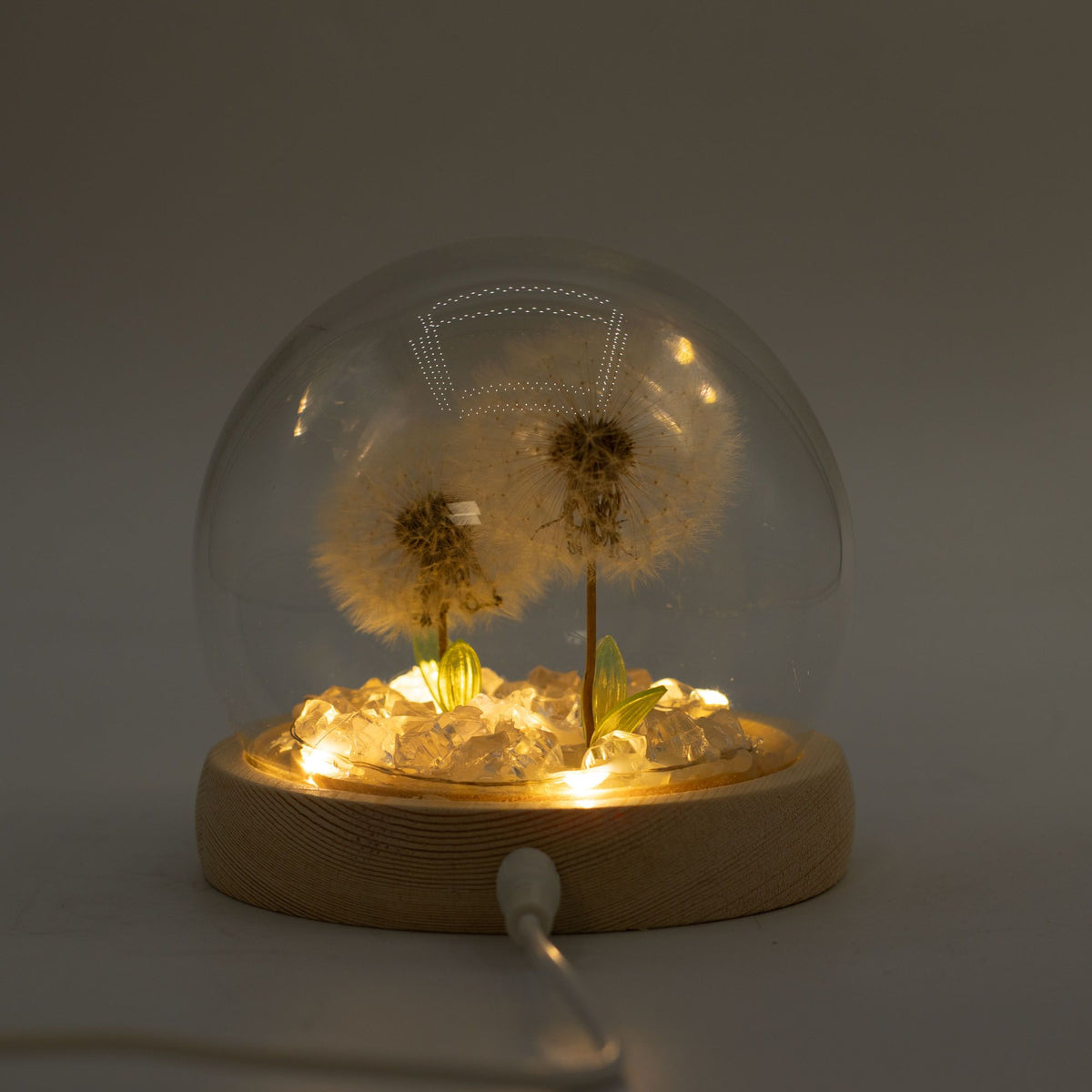 Lichtdekoration unter Glas – Zwei Löwenzahnblüten · USB