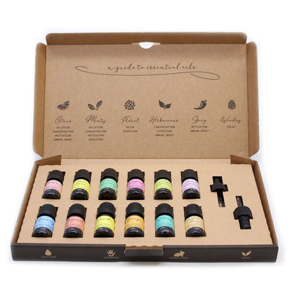 Aromatherapie-Set mit 12 ätherischen Ölen