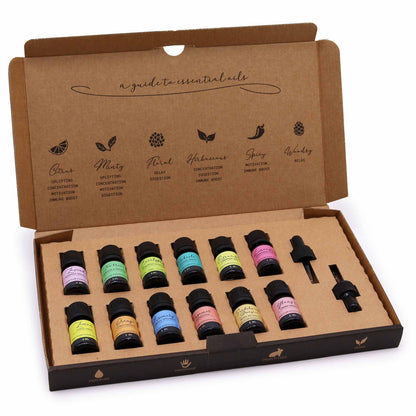 Aromatherapie-Set mit 12 ätherischen Ölen