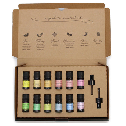 Aromatherapie-Starterset mit ätherischen Ölen